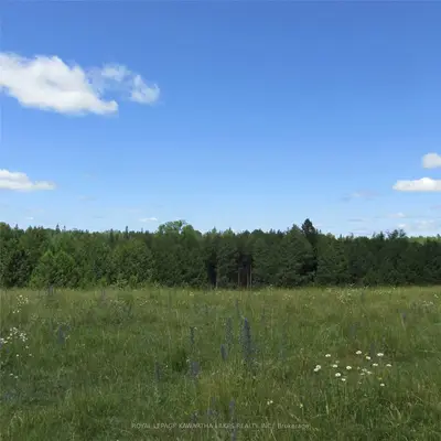 00 Providence Road, Kawartha Lakes, On K0m 1n0