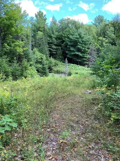 512 Eels Lake Road, North Kawartha, On K0l 1a0