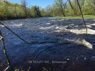 0 Elizabeth Street W, Stone Mills, On K0k 2s0