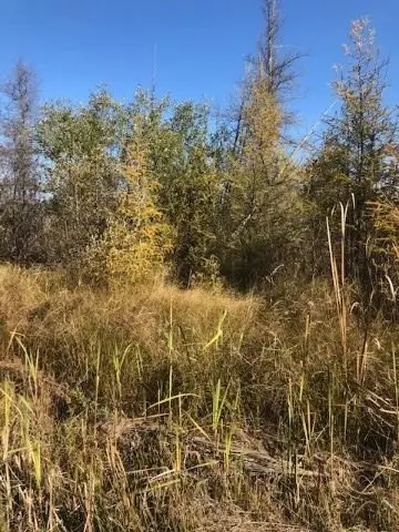 Lot 27 Fairbairn Road, Kawartha Lakes, On K0m 1a0