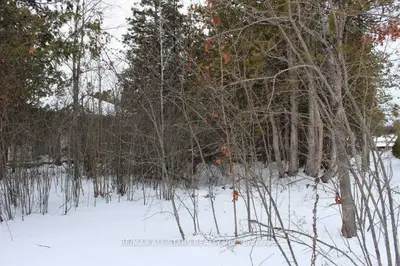 239 Front Street, Kawartha Lakes, On K0m 1a0
