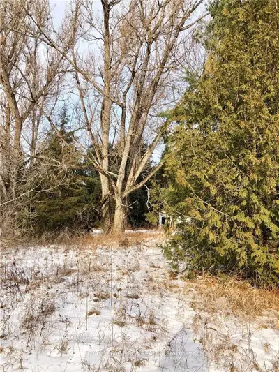 6 Burnt River Road, Kawartha Lakes, On K0m 1c0