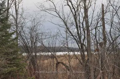 00 Songbird Crescent, Kawartha Lakes, On K9v 0a9