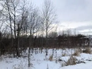 Lot 3 Ball Point Road, Kawartha Lakes, On K0m 2c0