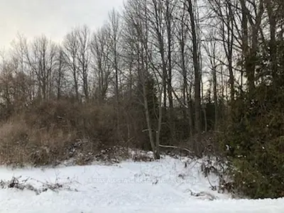 Lot 4 Ball Point Road, Kawartha Lakes, On K0m 2c0