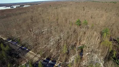 0 French Settlement Road, Kawartha Lakes, On K0m 1k0
