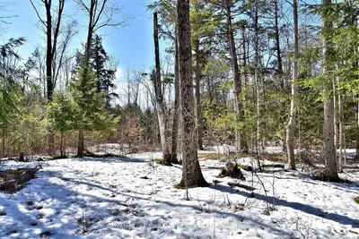 00 Highway 36 Road, Trent Lakes, On K0m 1a0