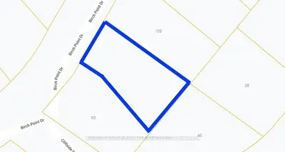 0 Birch Point Drive, Kawartha Lakes, On K0l 1t0