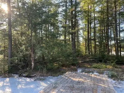969 County Road 504 Road, North Kawartha, On K0l 1a0