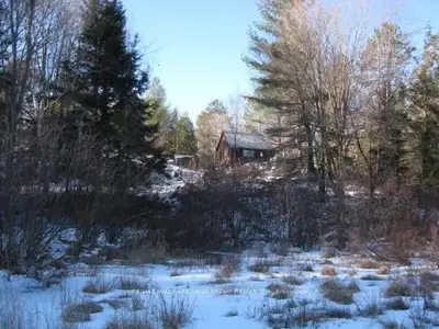 240 Devils 4 Mile Road W, Havelock-Belmont-Methuen, ON K0L 1Z0