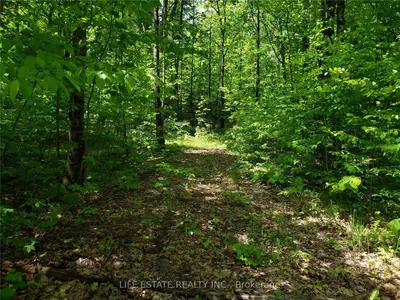 0 2nd Line Belmont Line, Havelock-belmont-methuen, On K0l 1z0