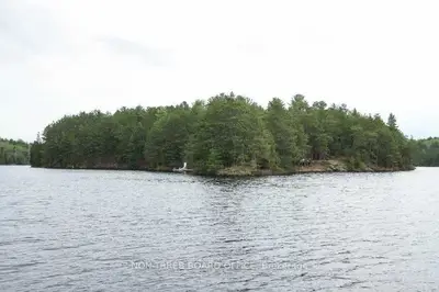 649 Nepewassi Lake, Sudbury Remote Area, On P3e 4n1
