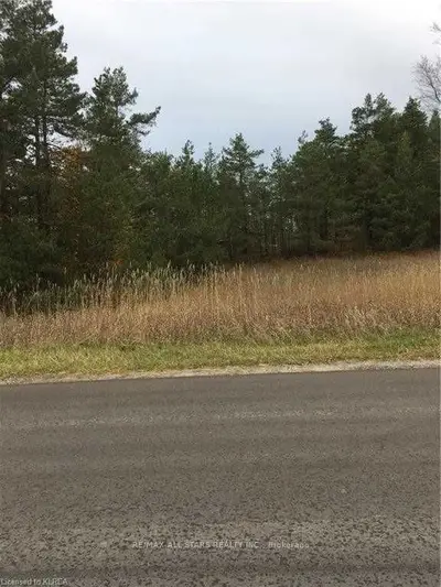 0 Bethany Hills Road, Kawartha Lakes, On L0a 1a0
