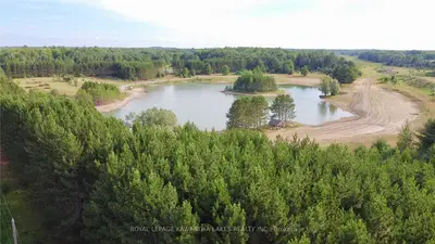 251 County Road 41, Kawartha Lakes, On K0m 2b0