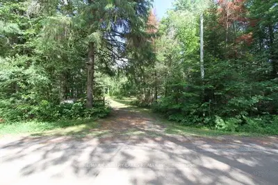 300 Pinery Road, Kawartha Lakes, On K0m 1c0