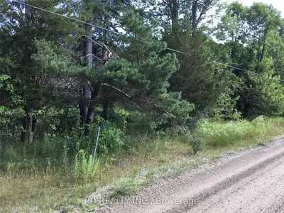 23 Jack Hill's Road, Trent Lakes, On K0l 1j0