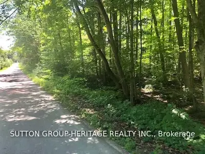 Lot 17 East Beehive Drive, Kawartha Lakes, On K0m 1a0