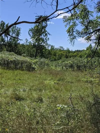 00 White Lake Road, Trent Lakes, On K0m 2b0