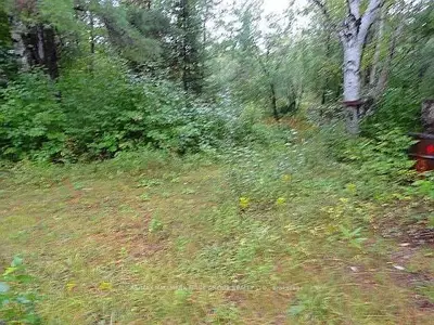 Ptlt 27 O'donnell Road, Addington Highlands, On K0h 1k0