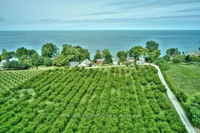 770 Lakeshore Road, Niagara-on-the-lake, On L0s 1j0
