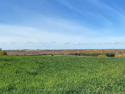 00 Skyline Road, Kawartha Lakes, On K0m 2j0