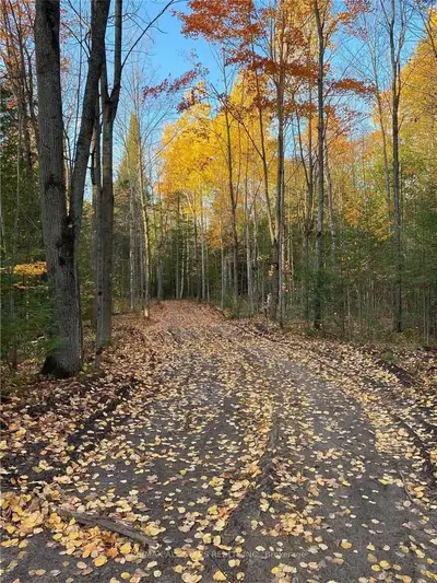 0 Old Mill Road, Kawartha Lakes, On K0l 2x0
