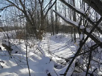 11th Line, Blue Mountains, ON N0H 2P0