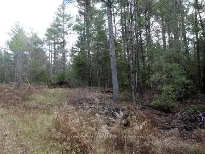 Lt 7&8 O'donnell Road, Addington Highlands, On K0h 1k0