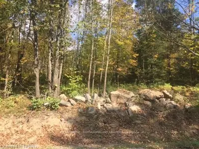 0 County Road #44 Road, Havelock-belmont-methuen, On K0l 1z0