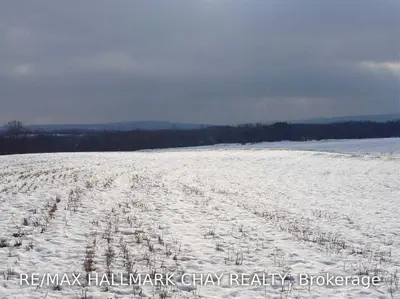 236787 BEAVER VALLEY Road, Blue Mountains, ON N0H 1J0