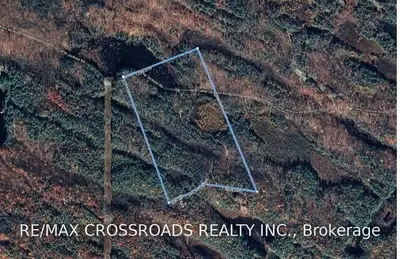 1160 Camp Jcakson Road, Muskoka Lakes, ON P0C 1H0
