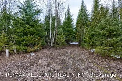 Lot 35 Monck Road, Kawartha Lakes, On K0m 2b0