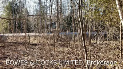 Lot 31 Pirates Glen Drive, Trent Lakes, On K0m 1a0