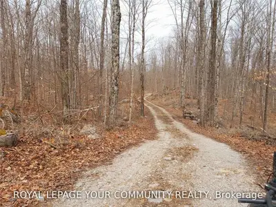 363 White Valley Road, Trent Lakes, On K0m 1a0