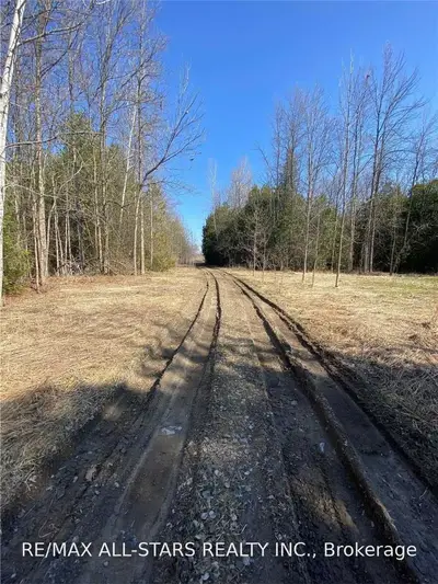 0 Highway 7, Kawartha Lakes, On K0l 2w0