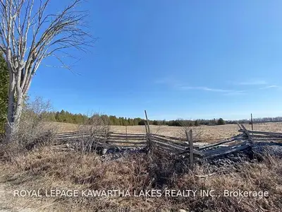 00 Walkers Road, Kawartha Lakes, On K0m 1n0