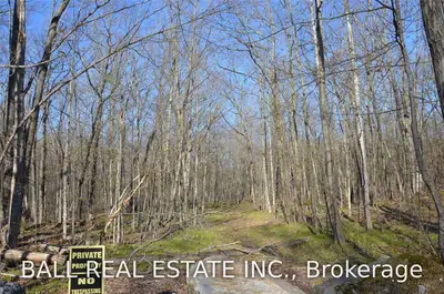 Blairton Road, Havelock-belmont-methuen, On, K0l 1z0