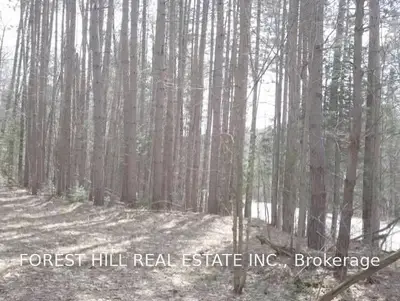 2448 Aspdin Road, Huntsville, ON P0B 1M0