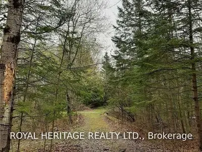 353 Telecom Road, Kawartha Lakes, On L0a 1k0