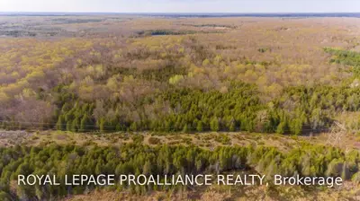 0 MONEYMORE Road, Tyendinaga, ON K0K 3J0