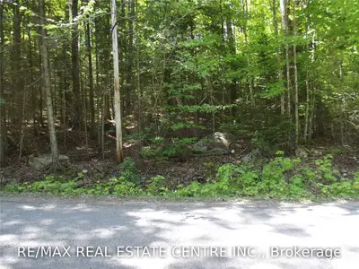 Con 17 Grace River Road, Highlands East, ON K0L 3C0