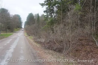0 Crego Street, Kawartha Lakes, On K0m 2a0