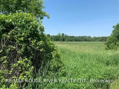 0 Union Road, Cramahe, ON K0K 1H0