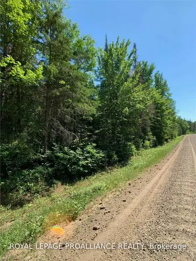 P/L 3 N BAPTISTE LAKE Road, Hastings Highlands, ON K0L 2S0