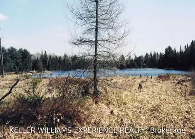 24 & 25 BEAR CAVE Road, Muskoka Lakes, ON P0C 1J0