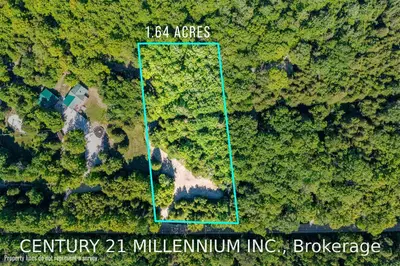 354607 Osprey-Artemesia Tl, Grey Highlands, ON N0C 1E0
