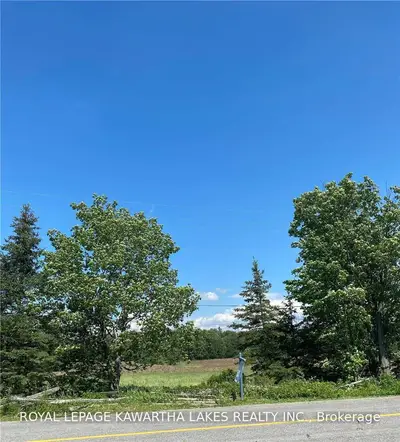 0 Northline Road, Kawartha Lakes, On K0m 1n0