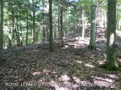 LOT 21 BAYSHORE Road, Meaford, ON N0H 1B0
