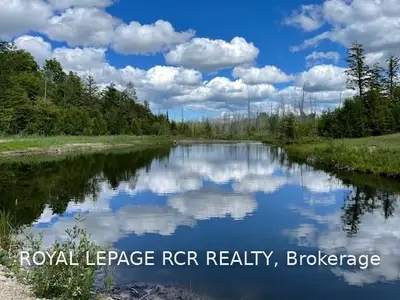 596354 Concession 10 Road, Chatsworth, ON N0H 1R0