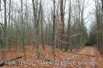 0 Elim Lodge Road, Trent Lakes, On K0l 1j0